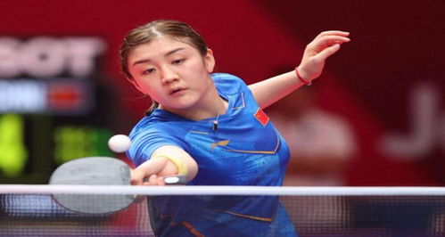 秀的外援组 秀的外援组