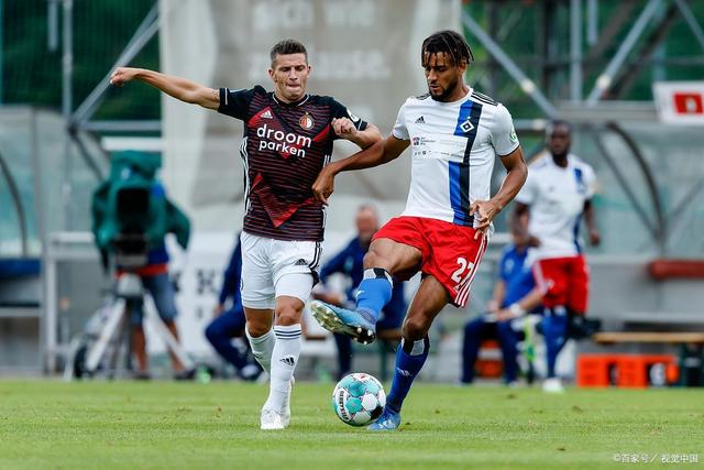 网球选手的 网球选手的